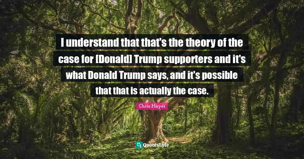 I understand that that's the theory of the case for [Donald] Trump supporters and it's what Donald Trump says, and it's possible that that is actually the case.