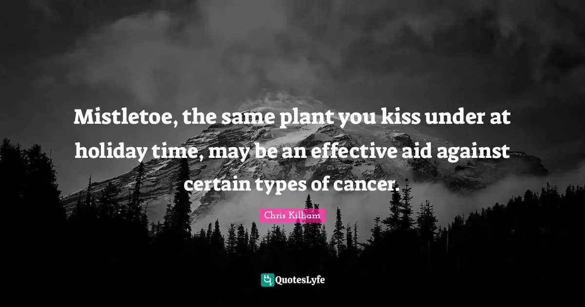 Mistletoe, the same plant you kiss under at holiday time, may be an effective aid against certain types of cancer.