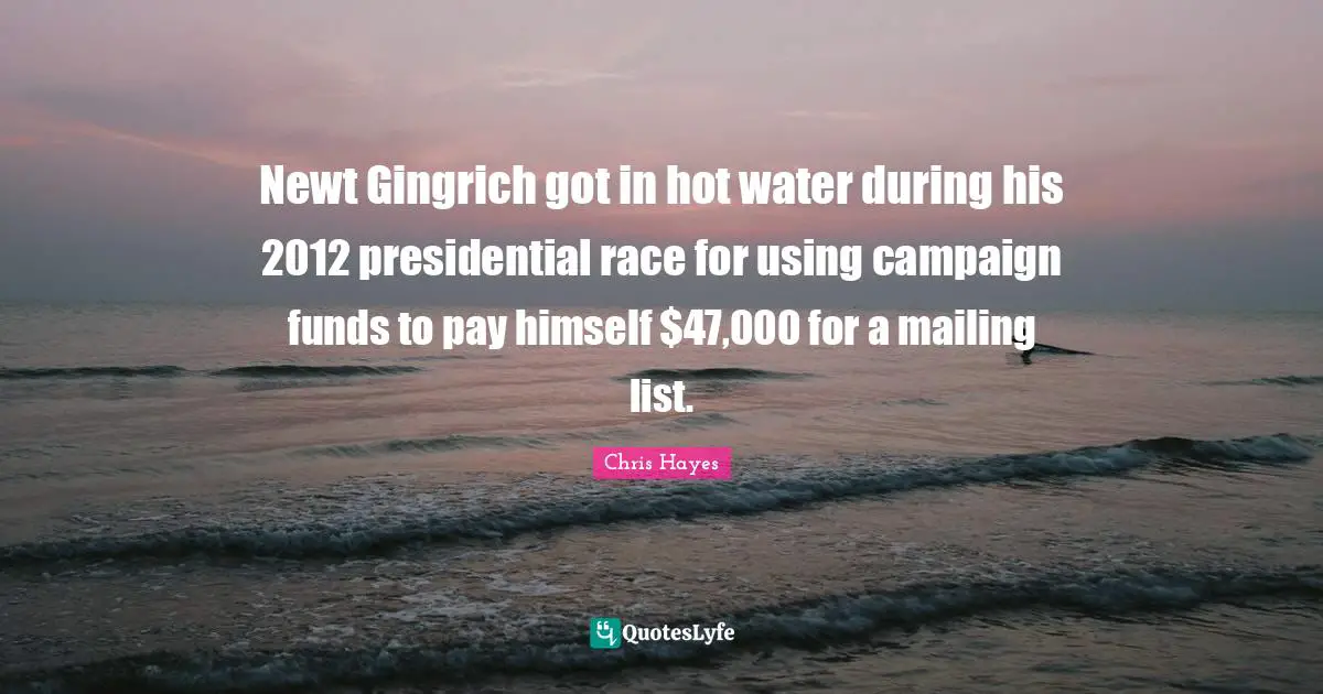 Newt Gingrich got in hot water during his 2012 presidential race for using campaign funds to pay himself $47,000 for a mailing list.