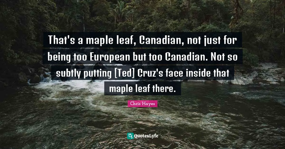 Maple Quotes: "That's a maple leaf, Canadian, not just for being too European but too Canadian. Not so subtly putting [Ted] Cruz's face inside that maple leaf there."