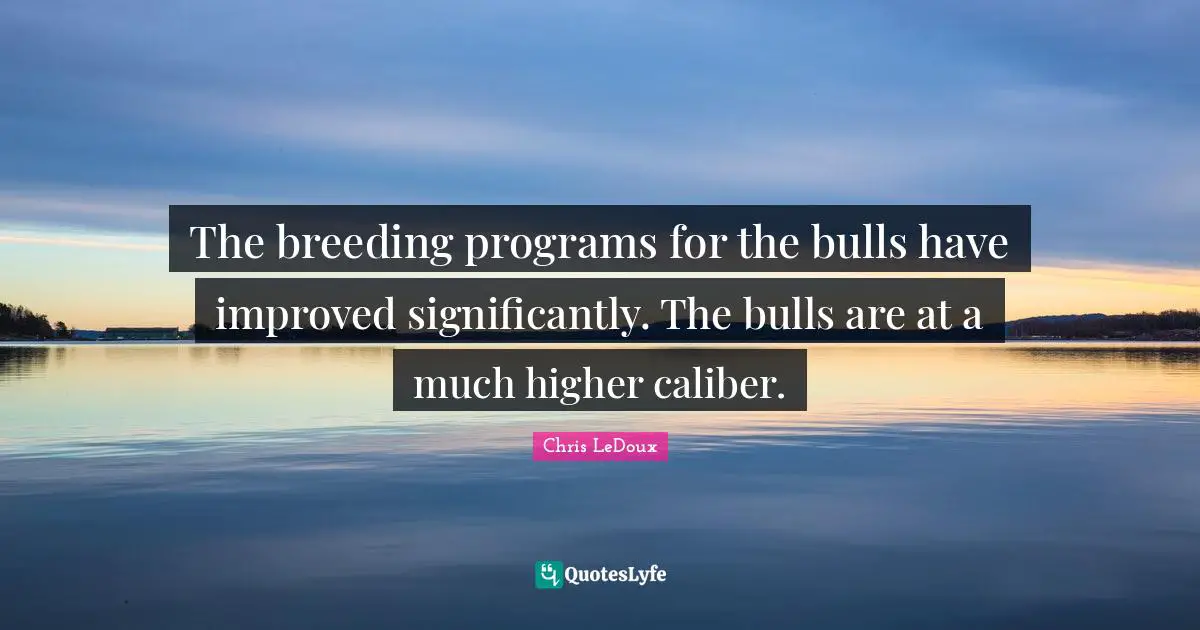 The breeding programs for the bulls have improved significantly. The bulls are at a much higher caliber.