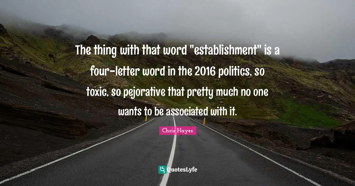 The thing with that word "establishment" is a four-letter word in the 2016 politics, so toxic, so pejorative that pretty much no one wants to be associated with it.