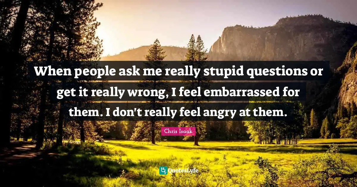 Chris Isaak Quotes: "When people ask me really stupid questions or get it really wrong, I feel embarrassed for them. I don't really feel angry at them."