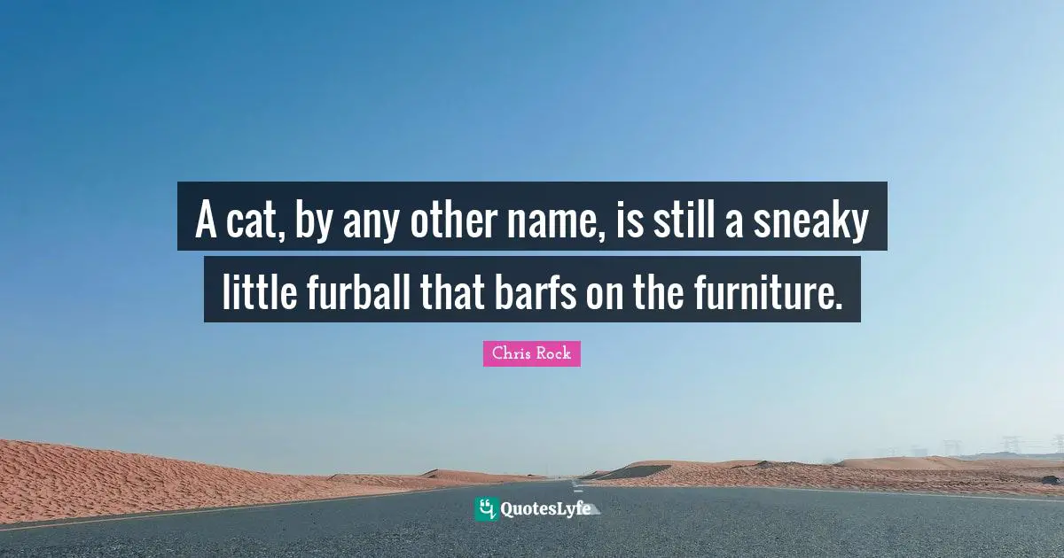 Sneaky Quotes: "A cat, by any other name, is still a sneaky little furball that barfs on the furniture."