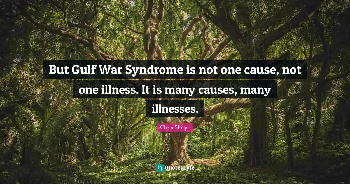 But Gulf War Syndrome is not one cause, not one illness. It is many causes, many illnesses.