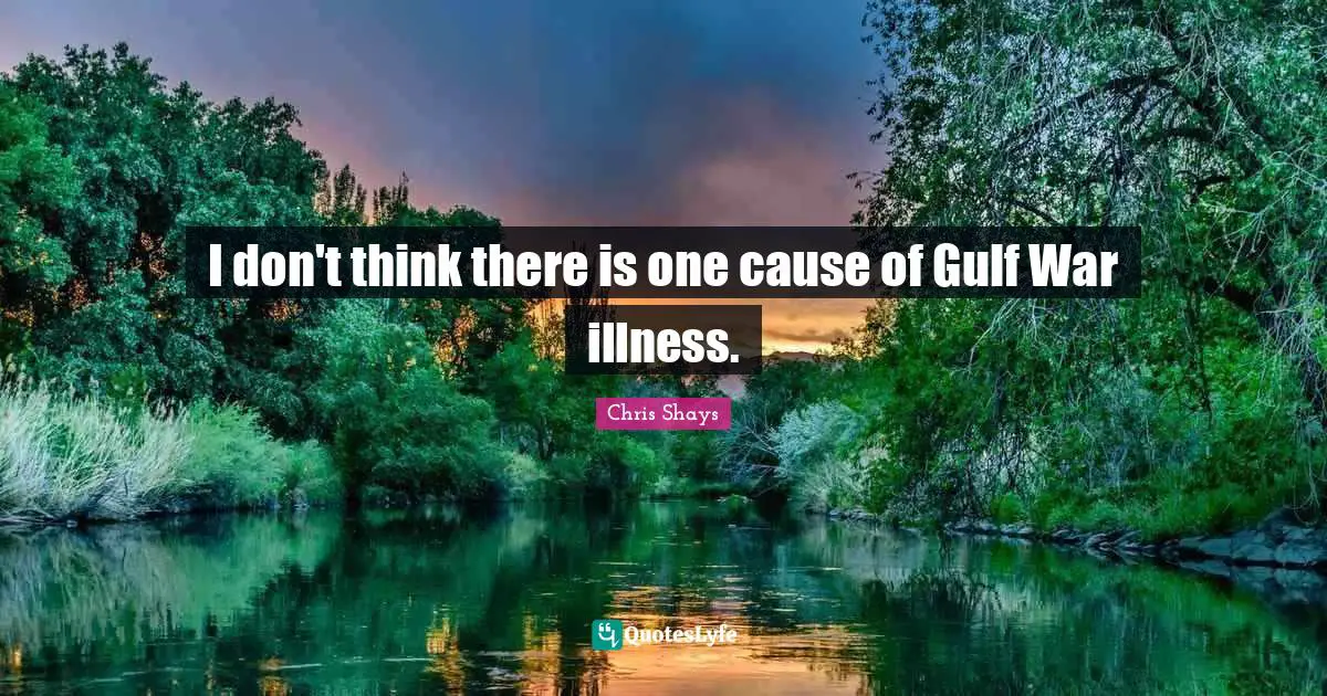 I don't think there is one cause of Gulf War illness.
