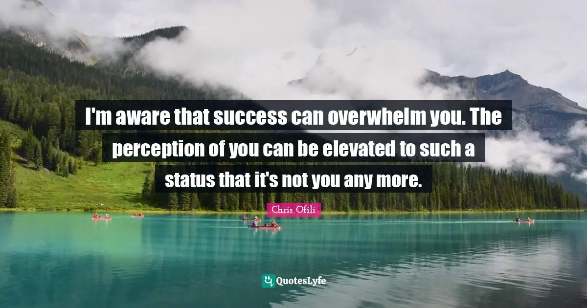 I'm aware that success can overwhelm you. The perception of you can be elevated to such a status that it's not you any more.