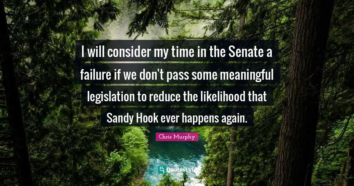 Hook Quotes: "I will consider my time in the Senate a failure if we don't pass some meaningful legislation to reduce the likelihood that Sandy Hook ever happens again."