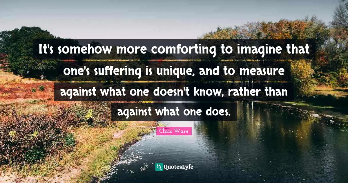 It's somehow more comforting to imagine that one's suffering is unique, and to measure against what one doesn't know, rather than against what one does.