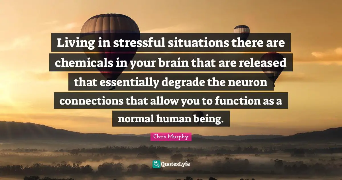 Living in stressful situations there are chemicals in your brain that are released that essentially degrade the neuron connections that allow you to function as a normal human being.