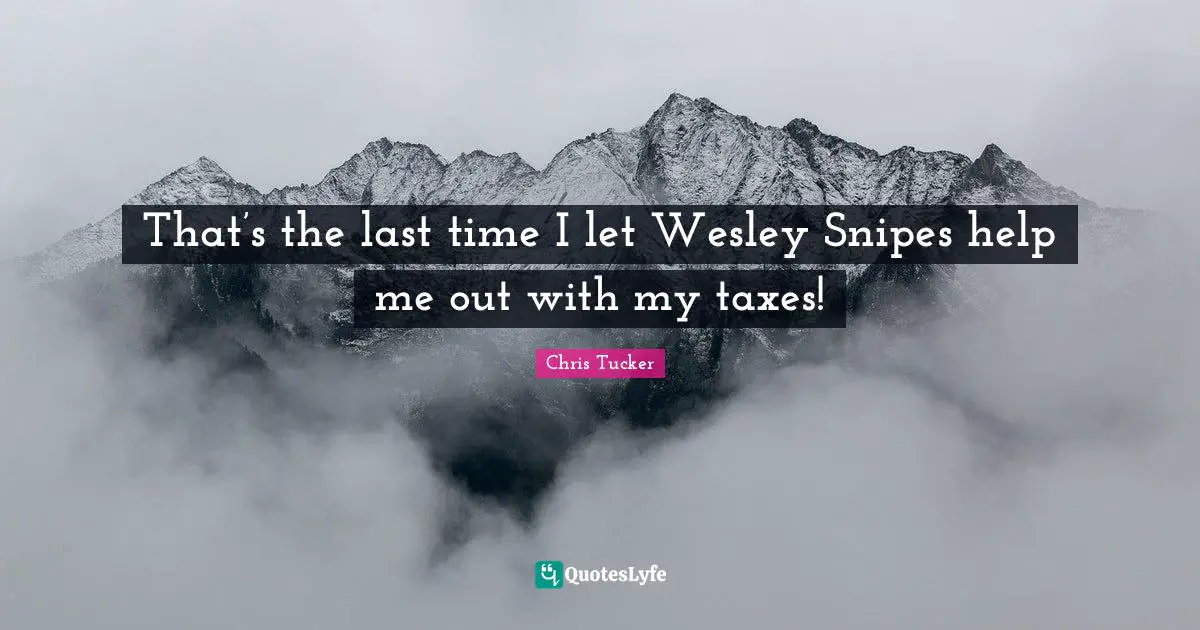 That’s the last time I let Wesley Snipes help me out with my taxes!