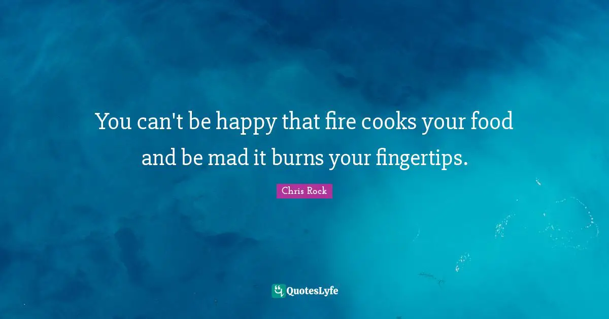 Chris Rock Quotes: "You can't be happy that fire cooks your food and be mad it burns your fingertips."