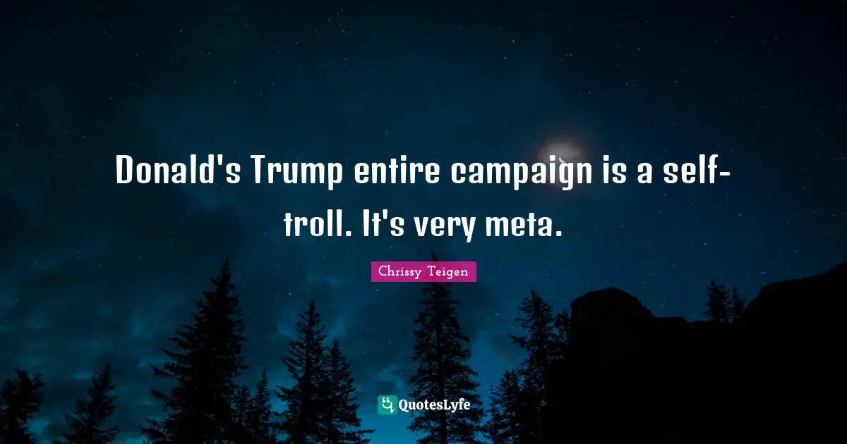 Donald's Trump entire campaign is a self-troll. It's very meta.