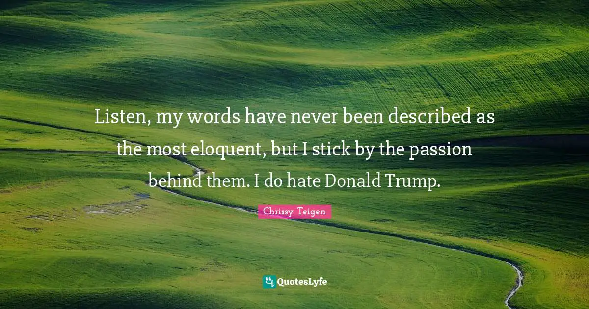 Listen, my words have never been described as the most eloquent, but I stick by the passion behind them. I do hate Donald Trump.