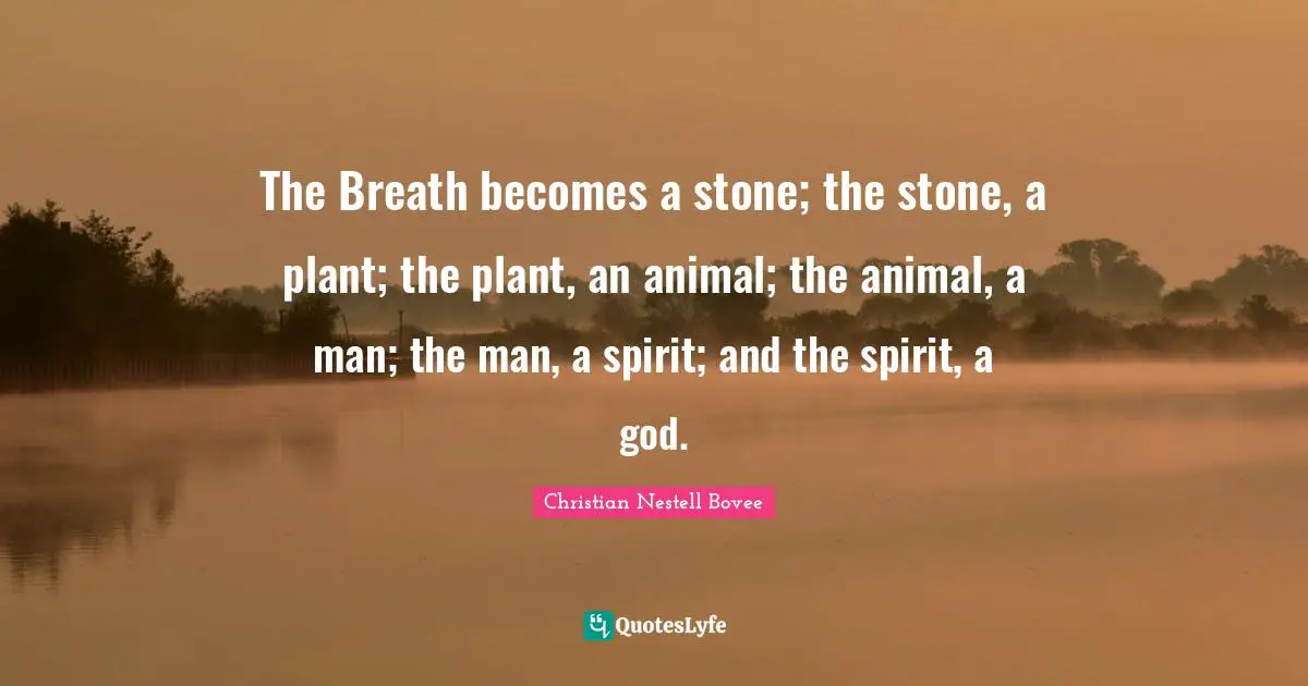 The Breath becomes a stone; the stone, a plant; the plant, an animal; the animal, a man; the man, a spirit; and the spirit, a god.