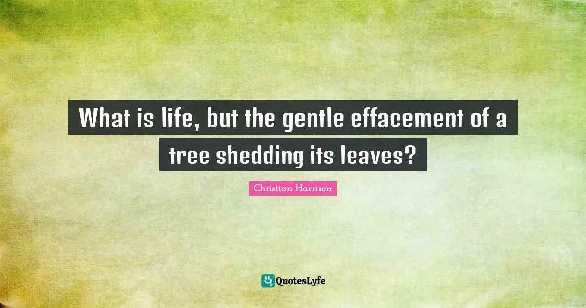 What is life, but the gentle effacement of a tree shedding its leaves?
