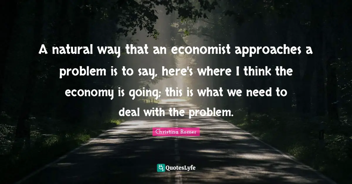 A natural way that an economist approaches a problem is to say, here's where I think the economy is going; this is what we need to deal with the problem.