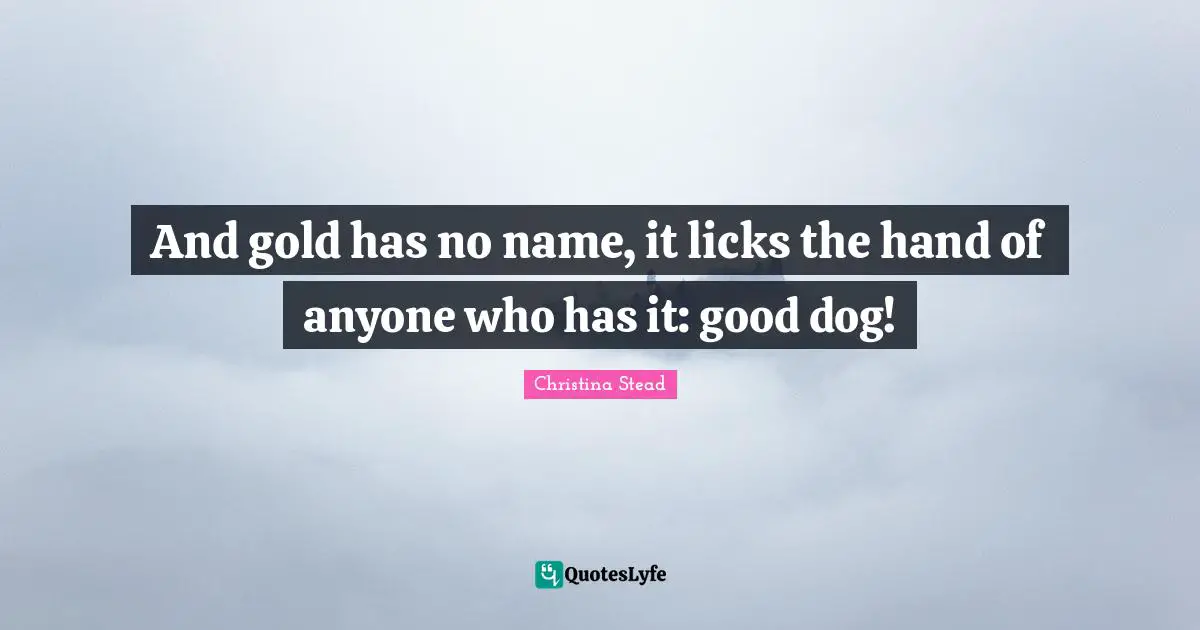 And gold has no name, it licks the hand of anyone who has it: good dog!