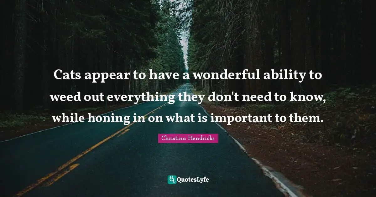 Christina Hendricks Quotes: "Cats appear to have a wonderful ability to weed out everything they don't need to know, while honing in on what is important to them."