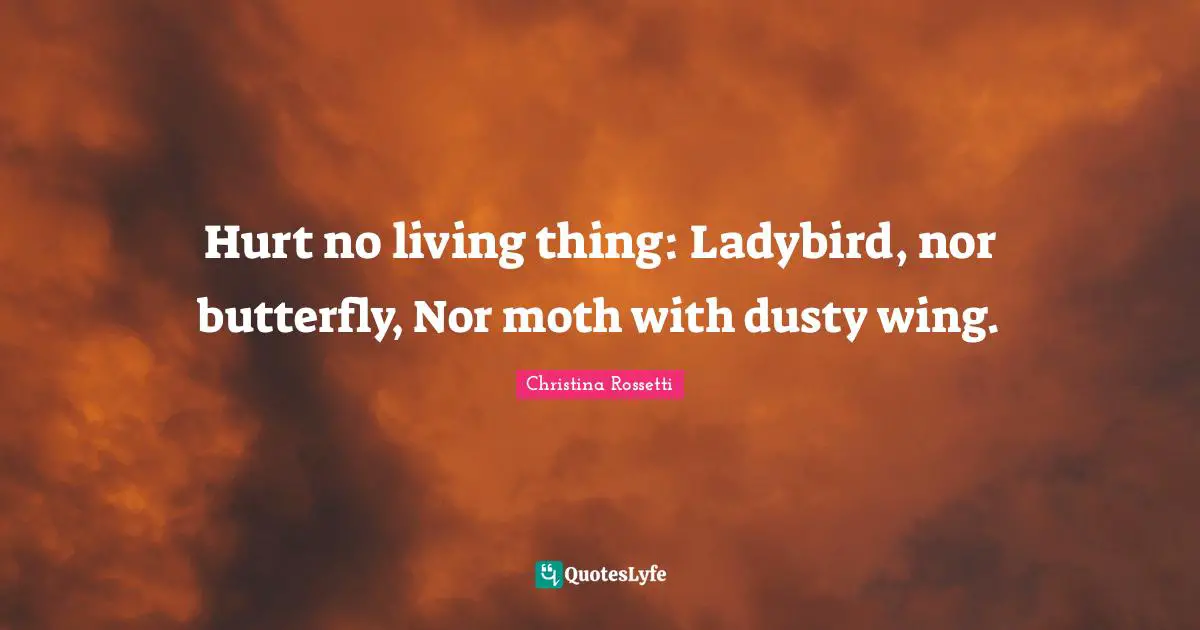 Christina Rossetti Quotes: "Hurt no living thing: Ladybird, nor butterfly, Nor moth with dusty wing."