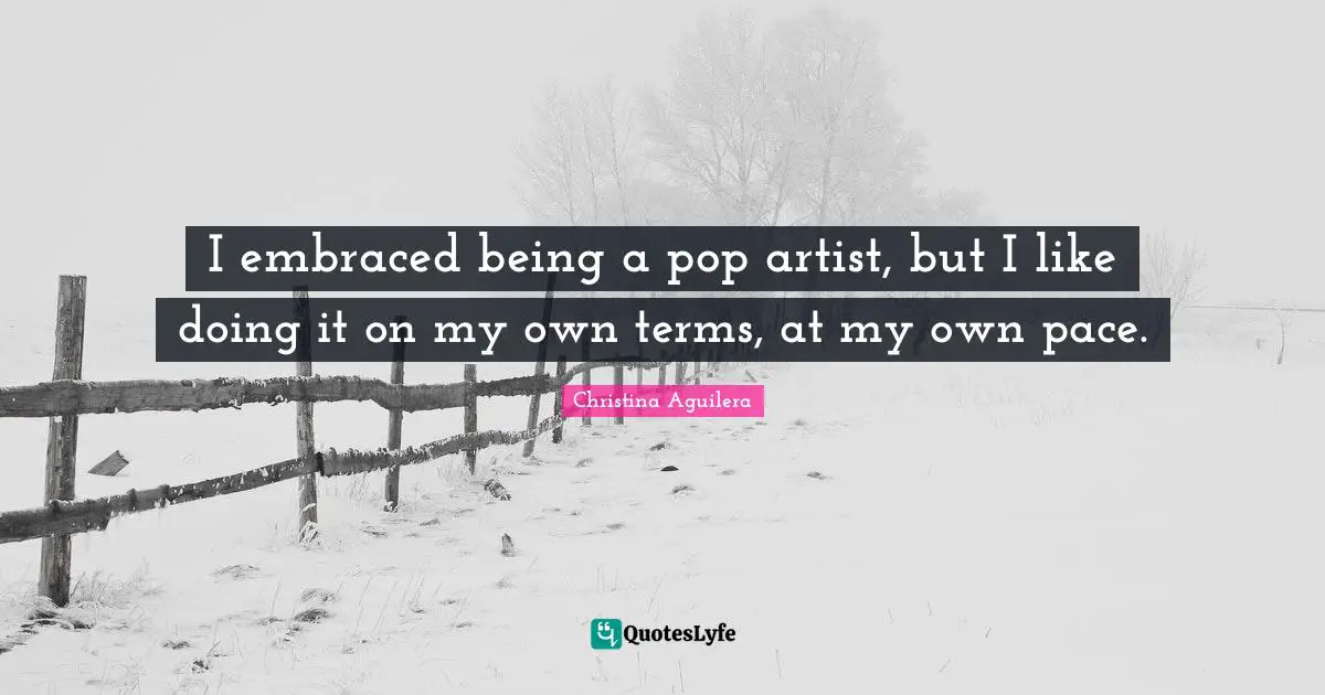 I embraced being a pop artist, but I like doing it on my own terms, at my own pace.