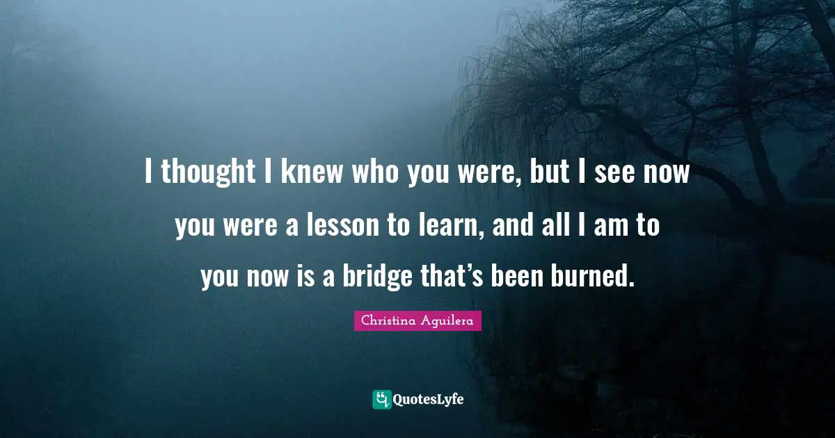 I thought I knew who you were, but I see now you were a lesson to learn, and all I am to you now is a bridge that’s been burned.