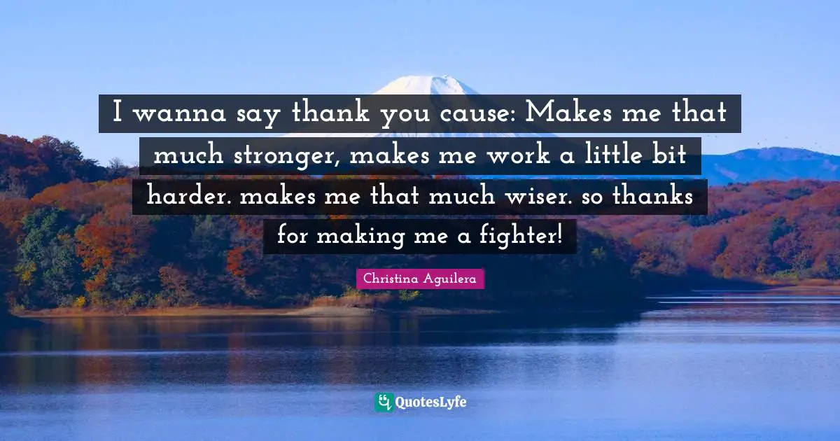 I wanna say thank you cause: Makes me that much stronger, makes me work a little bit harder. makes me that much wiser. so thanks for making me a fighter!