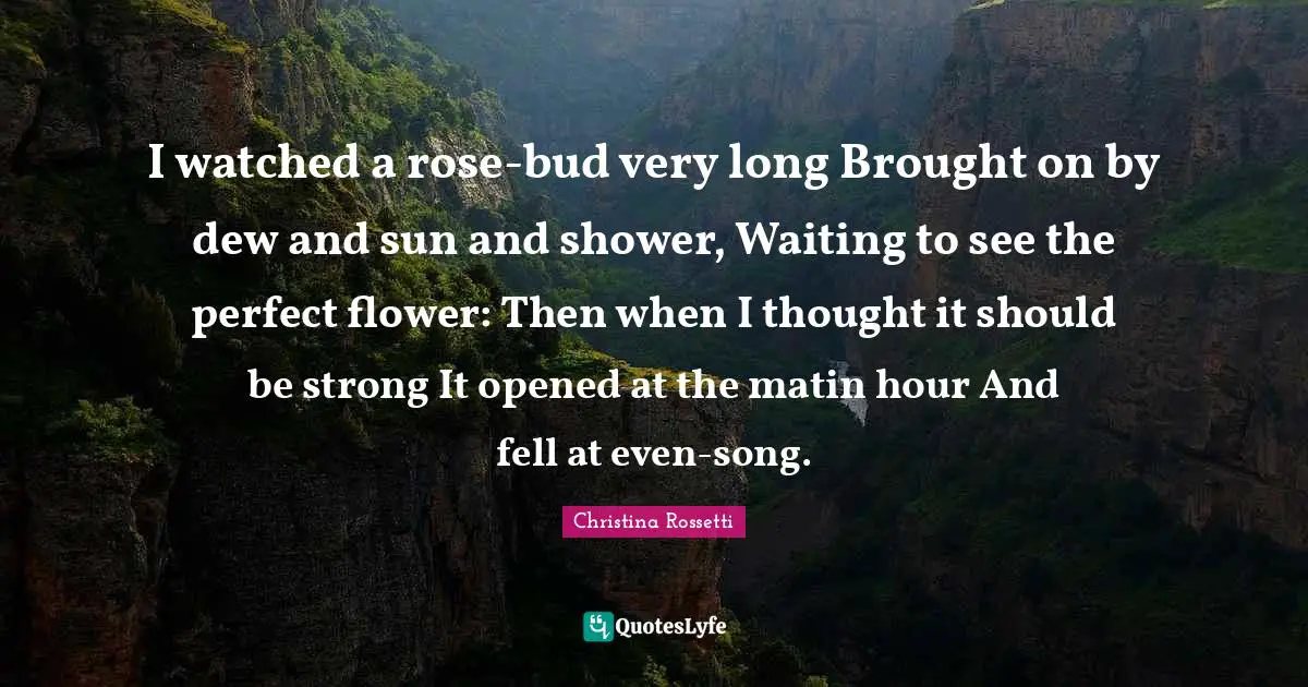 Christina Rossetti Quotes: "I watched a rose-bud very long Brought on by dew and sun and shower, Waiting to see the perfect flower: Then when I thought it should be strong It opened at the matin hour And fell at even-song."