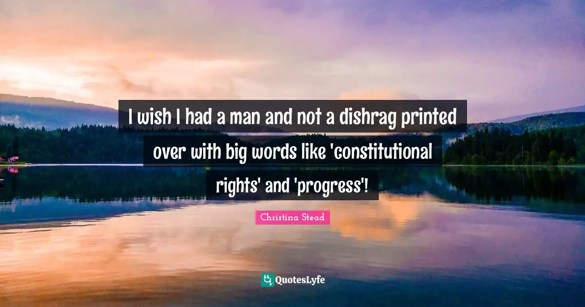 I wish I had a man and not a dishrag printed over with big words like 'constitutional rights' and 'progress'!