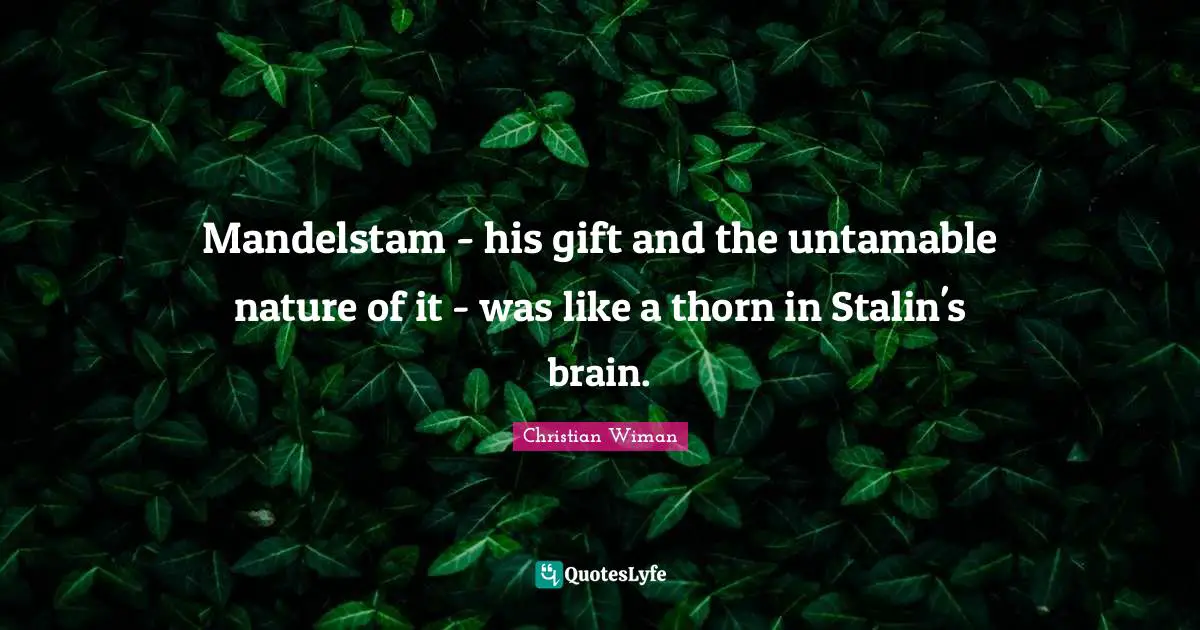 Mandelstam - his gift and the untamable nature of it - was like a thorn in Stalin's brain.