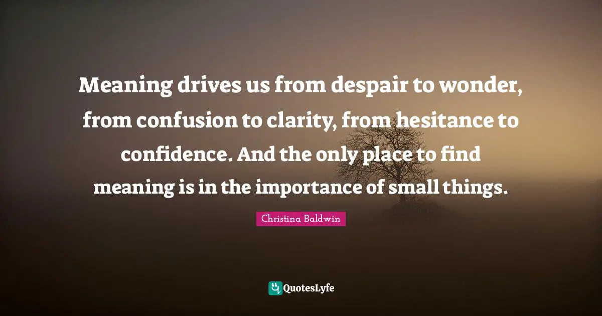 Meaning drives us from despair to wonder, from confusion to clarity, from hesitance to confidence. And the only place to find meaning is in the importance of small things.