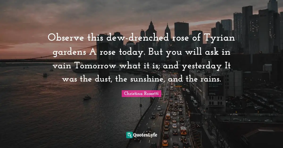 Christina Rossetti Quotes: "Observe this dew-drenched rose of Tyrian gardens A rose today. But you will ask in vain Tomorrow what it is; and yesterday It was the dust, the sunshine, and the rains."