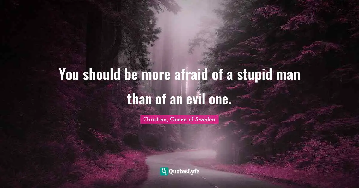 You should be more afraid of a stupid man than of an evil one.