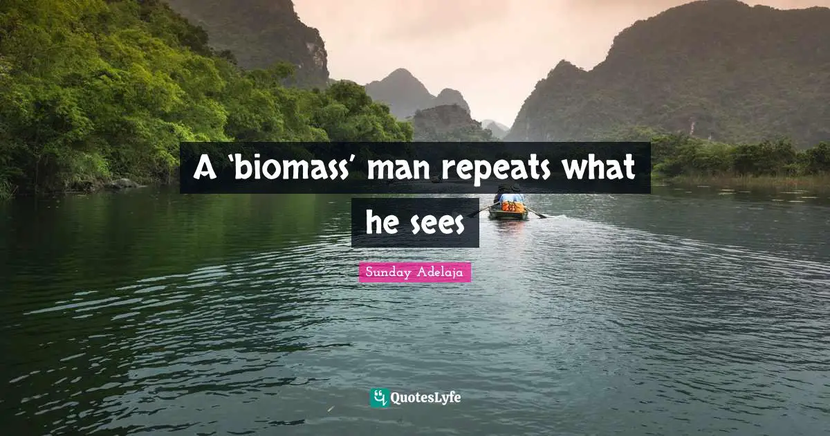 A ‘biomass’ man repeats what he sees