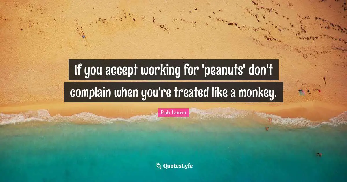 If you accept working for 'peanuts' don't complain when you're treated like a monkey.
