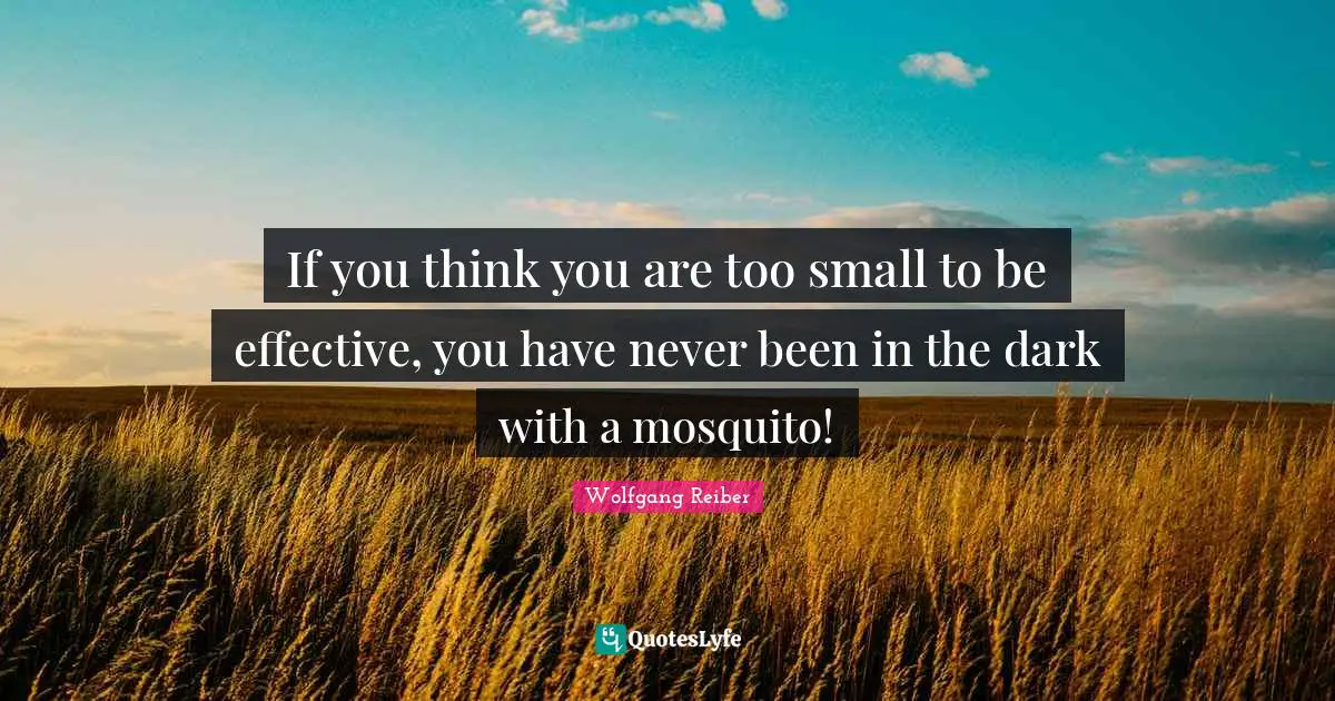 If you think you are too small to be effective, you have never been in the dark with a mosquito!