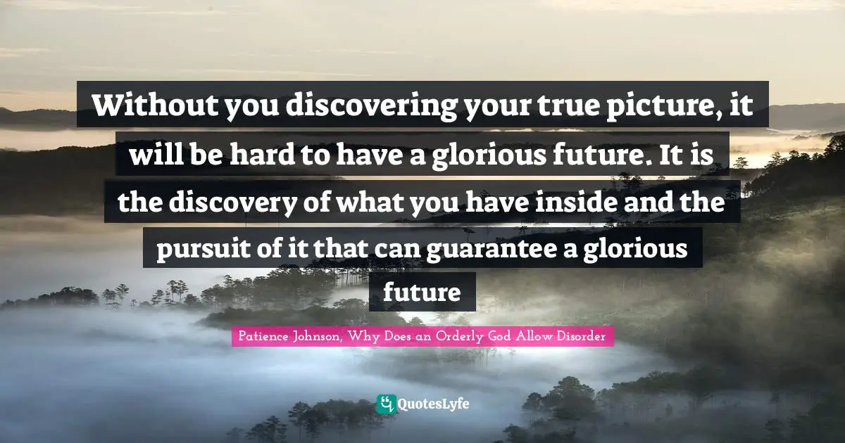 Patience Johnson, Why Does An Orderly God Allow Disorder Quotes: "Without you discovering your true picture, it will be hard to have a glorious future. It is the discovery of what you have inside and the pursuit of it that can guarantee a glorious future"