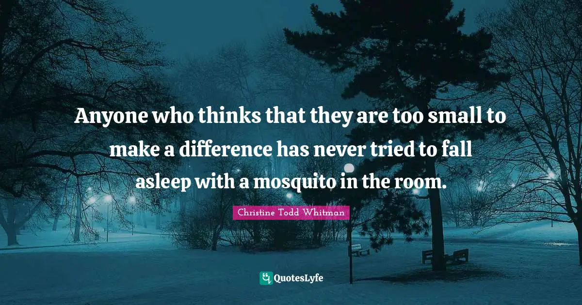 Anyone who thinks that they are too small to make a difference has never tried to fall asleep with a mosquito in the room.