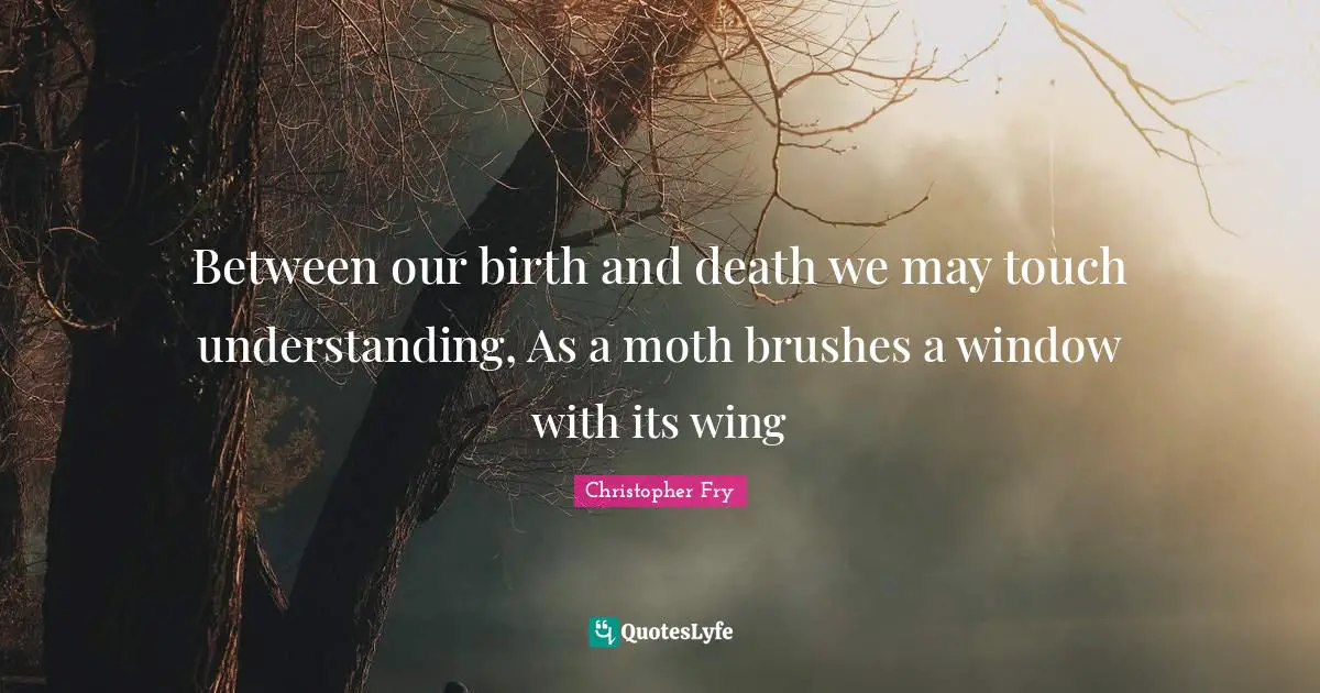 Between our birth and death we may touch understanding, As a moth brushes a window with its wing