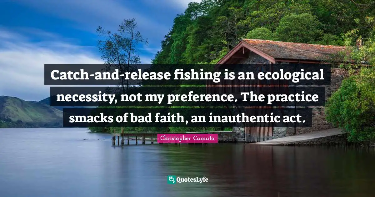 Catch-and-release fishing is an ecological necessity, not my preference. The practice smacks of bad faith, an inauthentic act.
