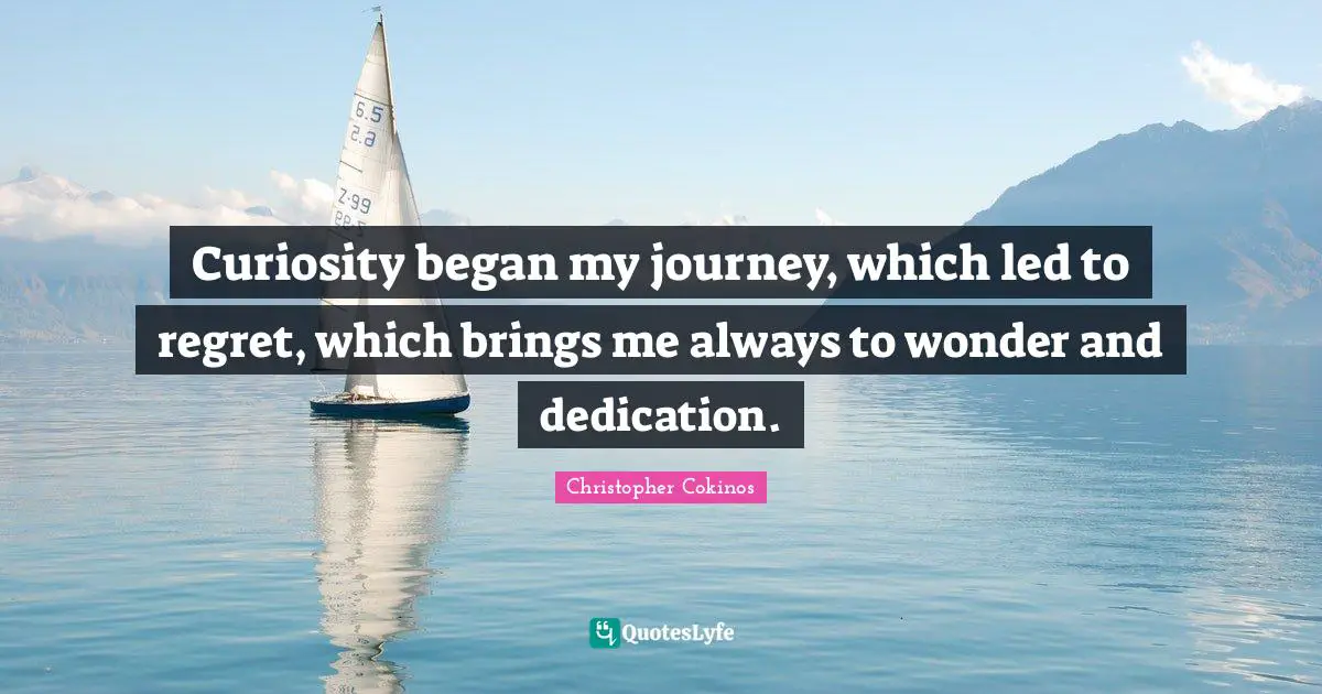 Curiosity began my journey, which led to regret, which brings me always to wonder and dedication.