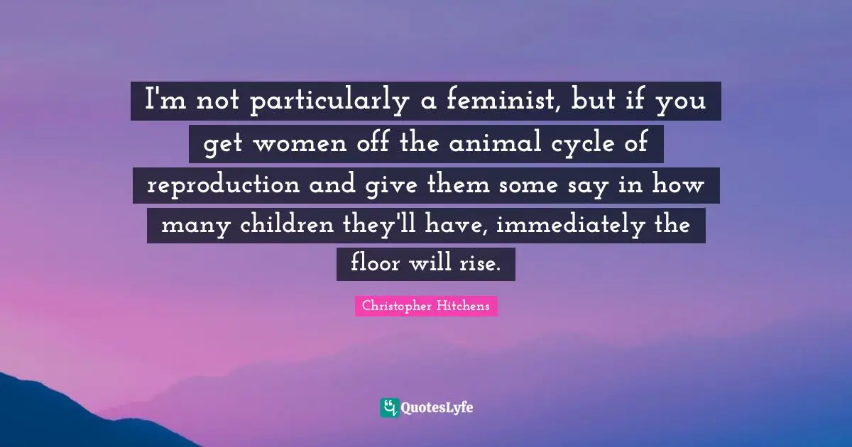 I'm not particularly a feminist, but if you get women off the animal cycle of reproduction and give them some say in how many children they'll have, immediately the floor will rise.