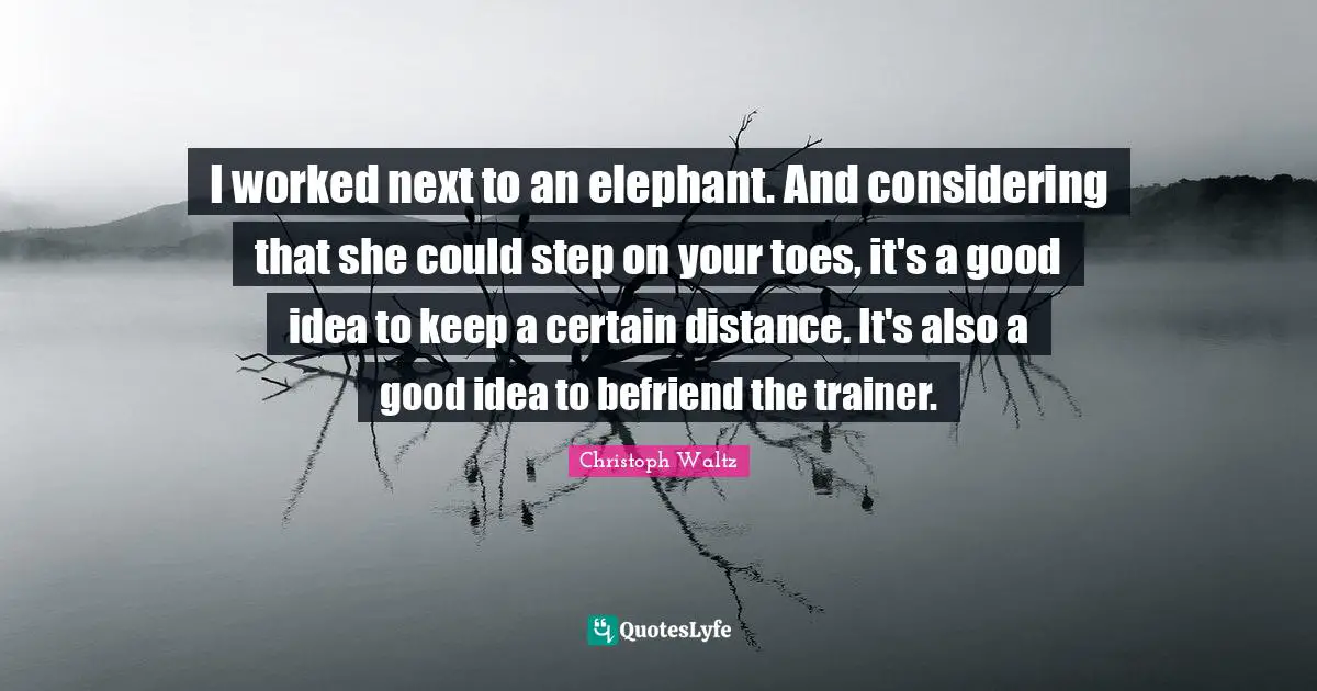 I worked next to an elephant. And considering that she could step on your toes, it's a good idea to keep a certain distance. It's also a good idea to befriend the trainer.