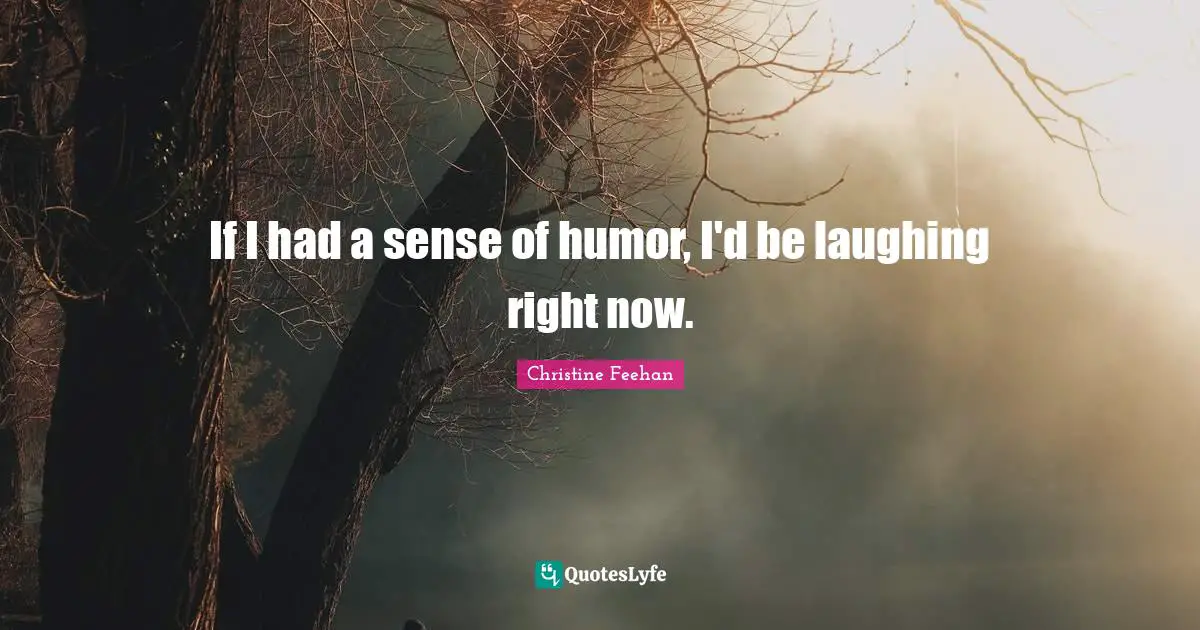 If I had a sense of humor, I'd be laughing right now.