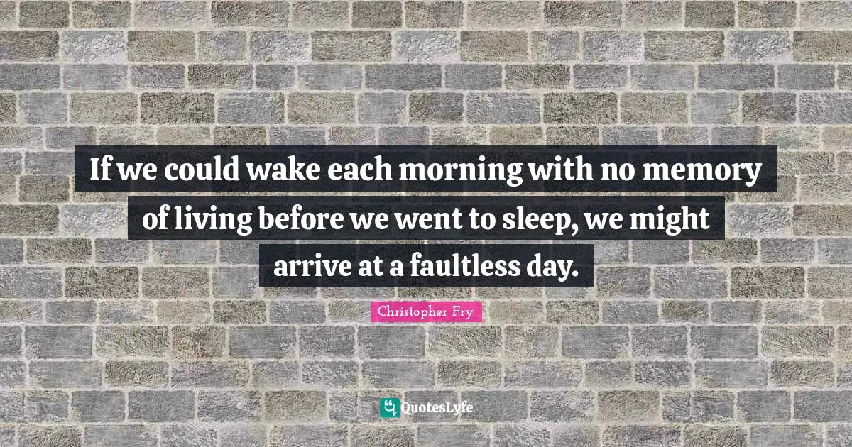 If we could wake each morning with no memory of living before we went to sleep, we might arrive at a faultless day.