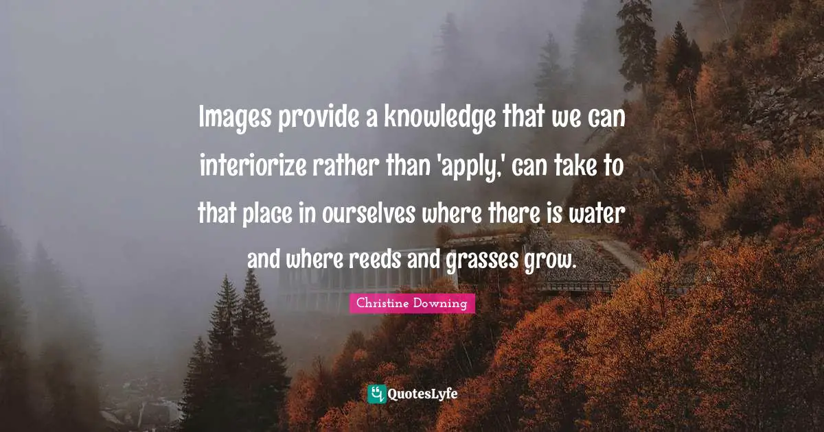 Images provide a knowledge that we can interiorize rather than 'apply,' can take to that place in ourselves where there is water and where reeds and grasses grow.