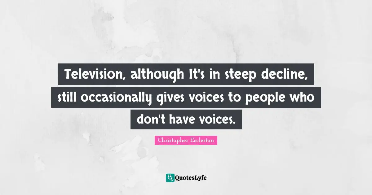 Television, although It's in steep decline, still occasionally gives voices to people who don't have voices.