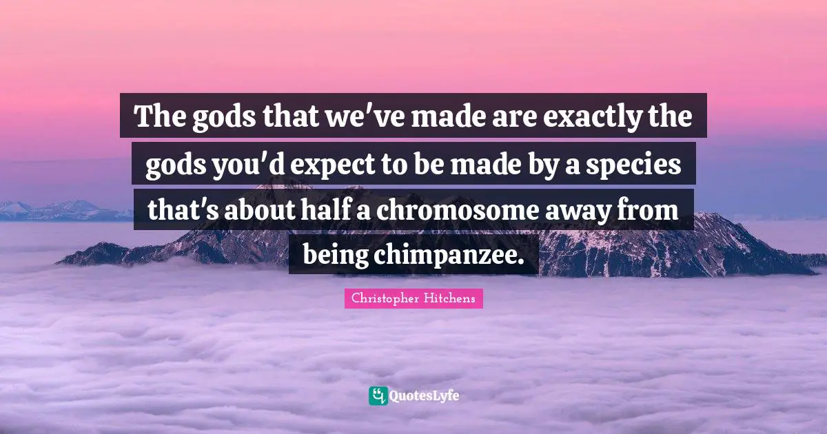 The gods that﻿ we've made are exactly the gods you'd expect to be made by a species that's about half a chromosome away from being chimpanzee.