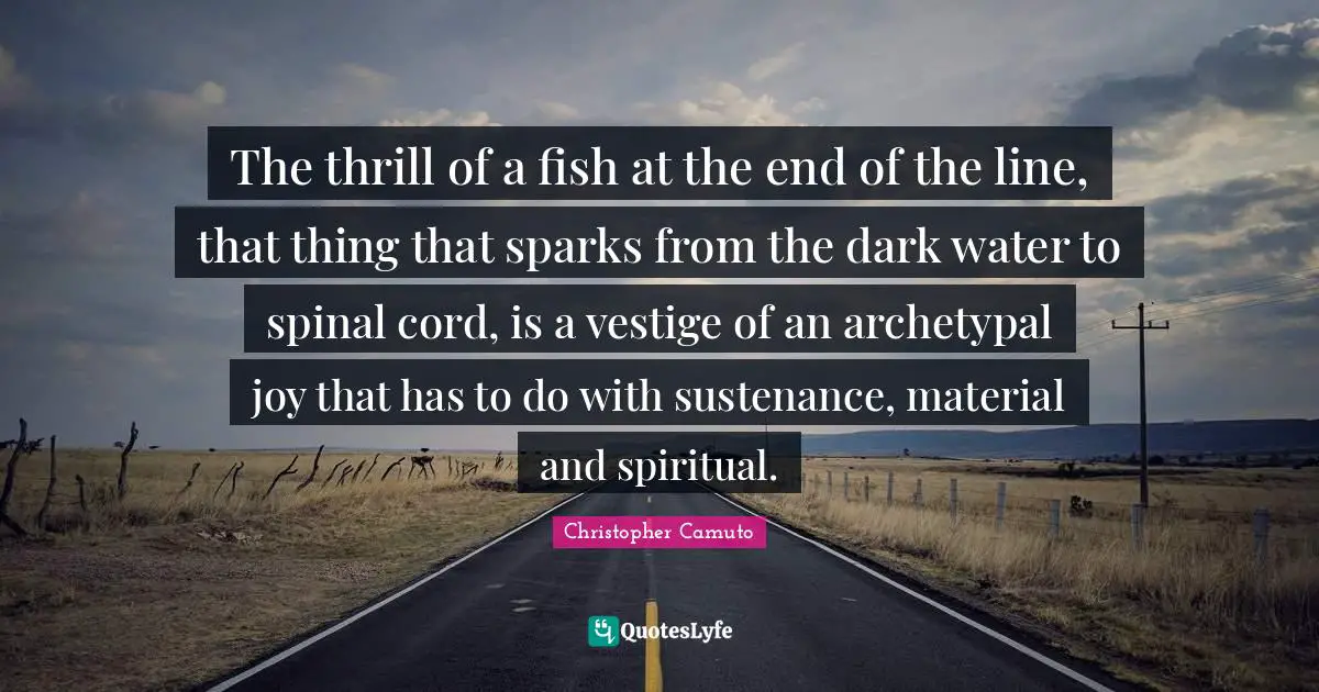 The thrill of a fish at the end of the line, that thing that sparks from the dark water to spinal cord, is a vestige of an archetypal joy that has to do with sustenance, material and spiritual.