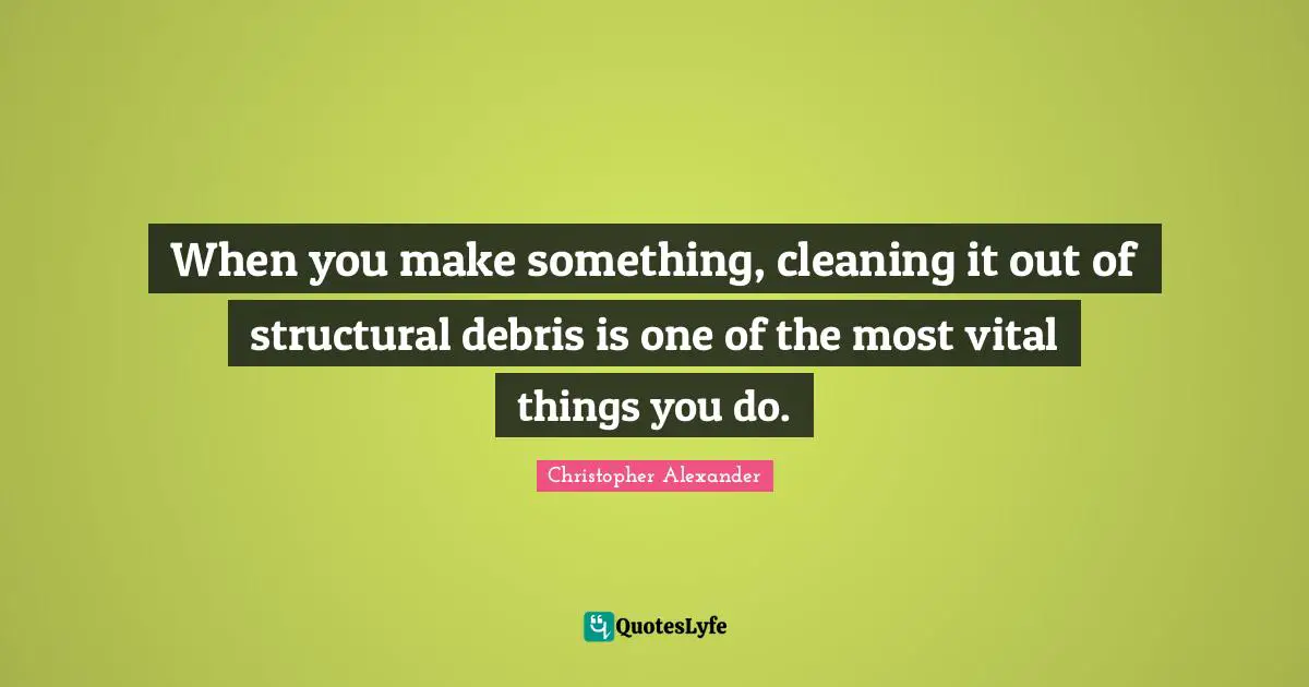 Debris Quotes: "When you make something, cleaning it out of structural debris is one of the most vital things you do."